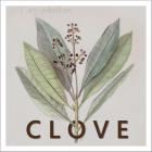 CLOVE